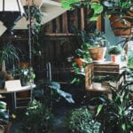 Treppenhaus mit Pflanzen