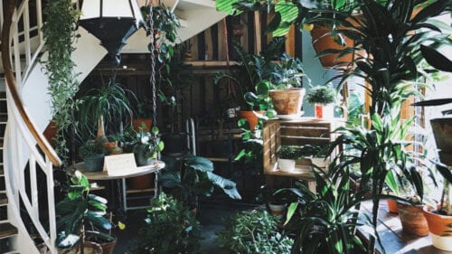 Treppenhaus mit Pflanzen