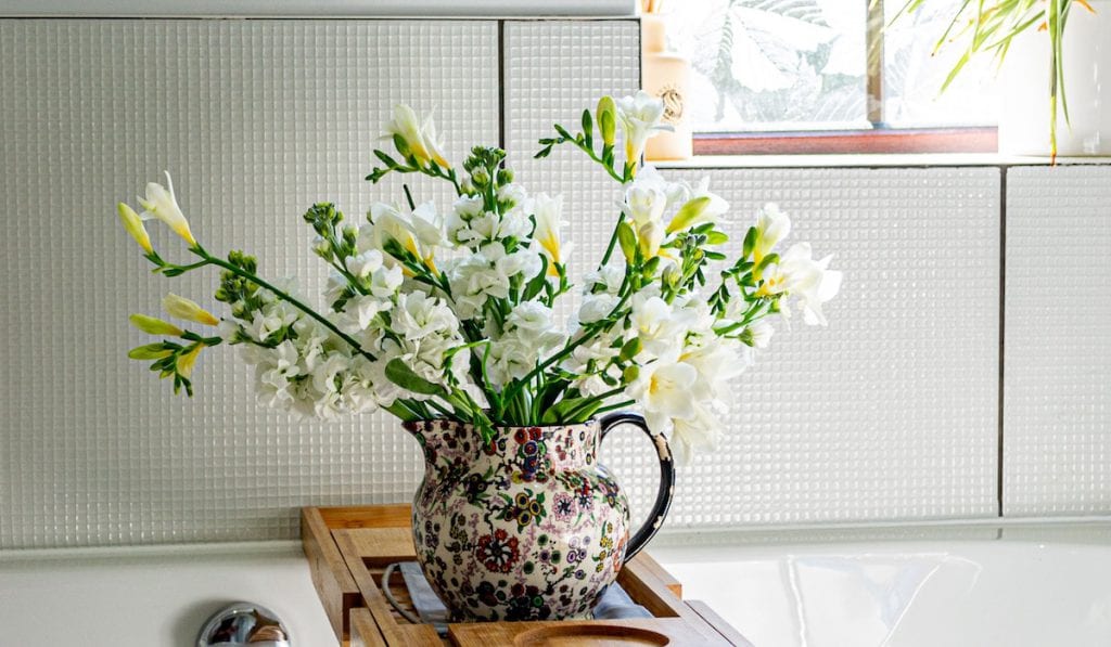 Pflanzen fürs Badezimmer